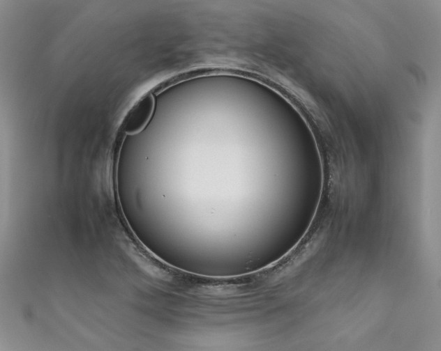 X0000111191272200907011404