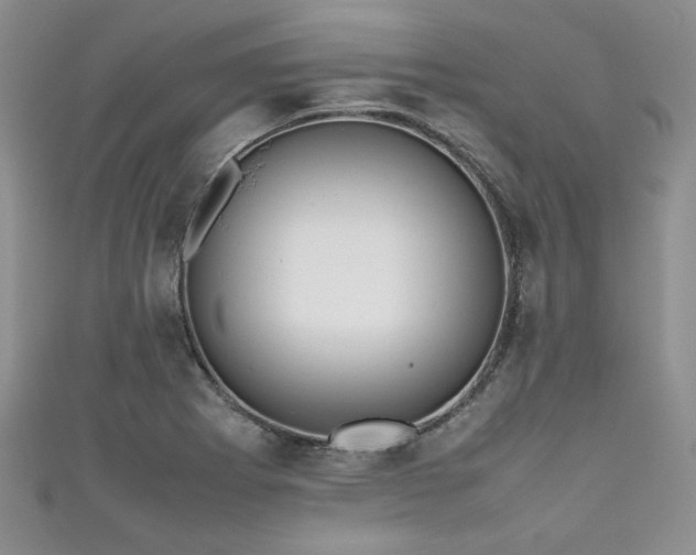 X0000111191273200907011404