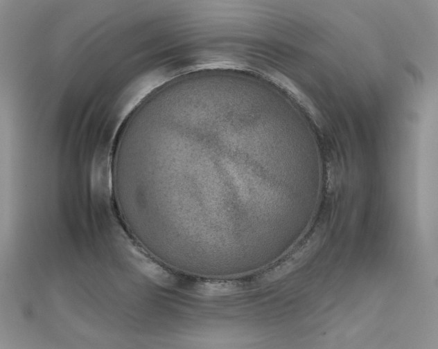 X0000111191274200907011404