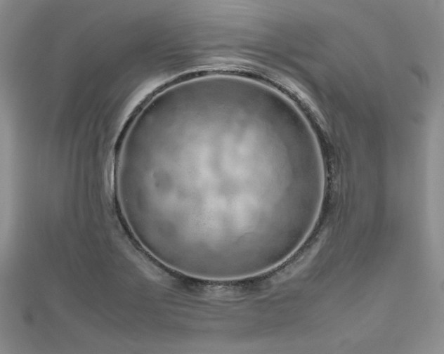 X0000111191275200907011404