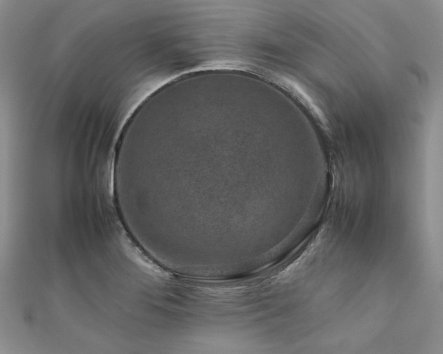 X0000111191276200907011404