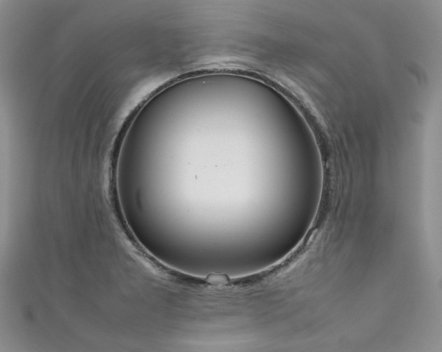 X0000111191277200907011404