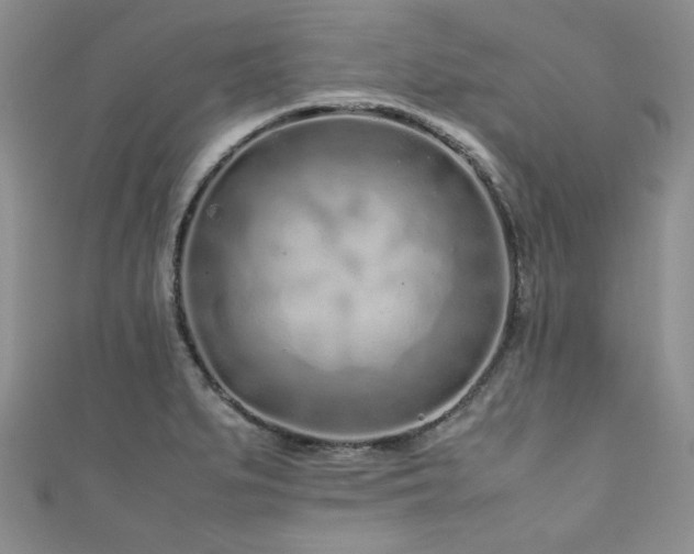 X0000111191279200907011404