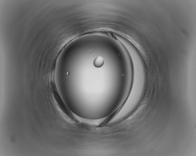 X0000111191281200907011404