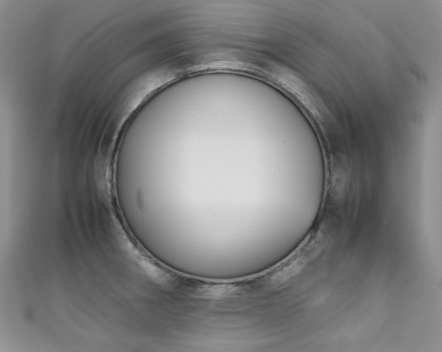 X0000111191282200907011404