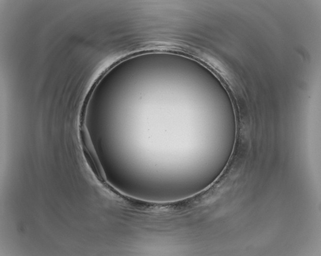 X0000111191283200907011404