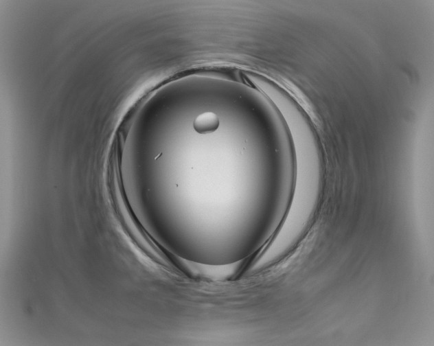 X0000111191285200907011404