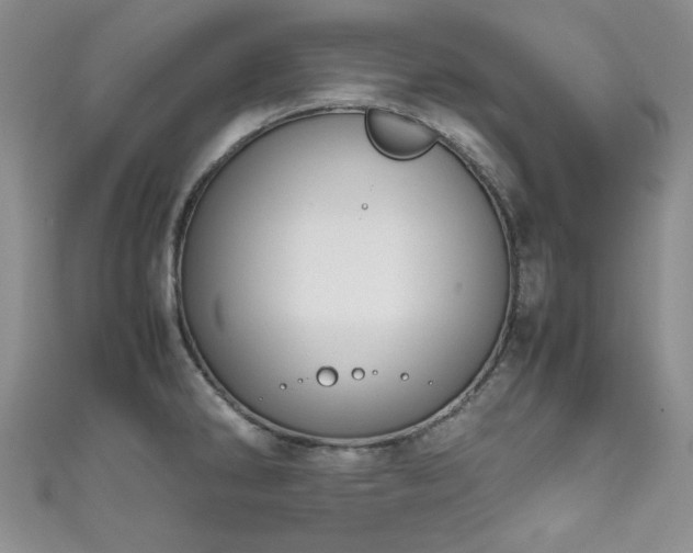 X0000111191286200907011404