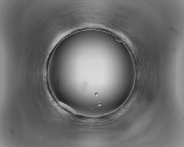 X0000111191287200907011404