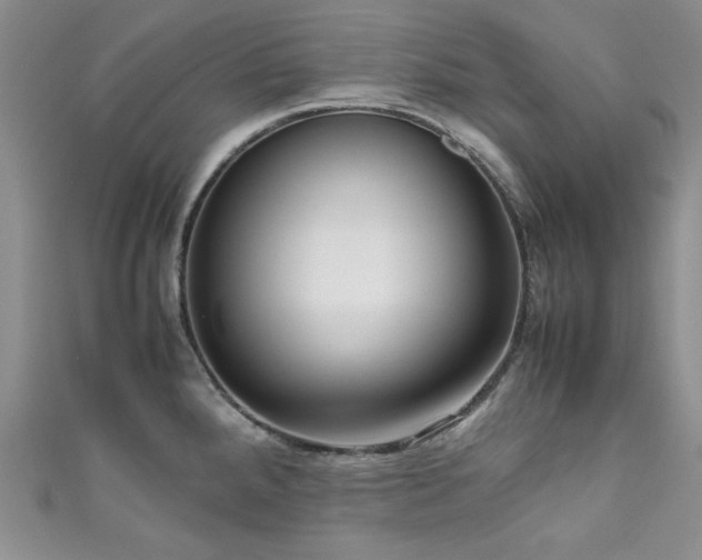 X0000111191288200907011404