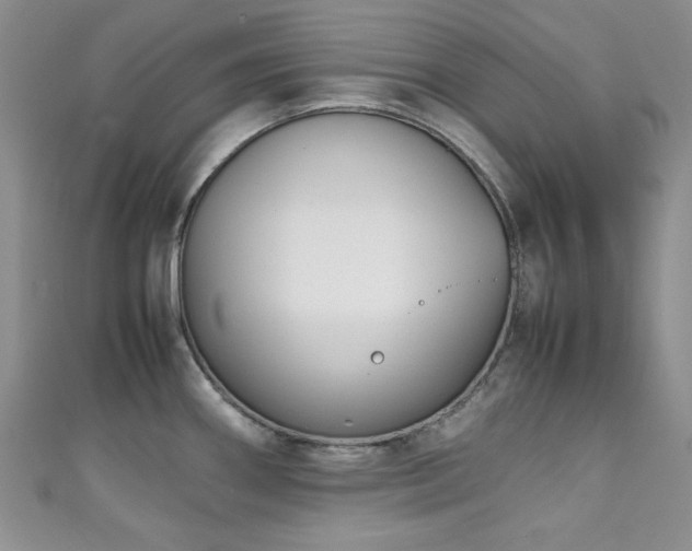 X0000111191290200907011404