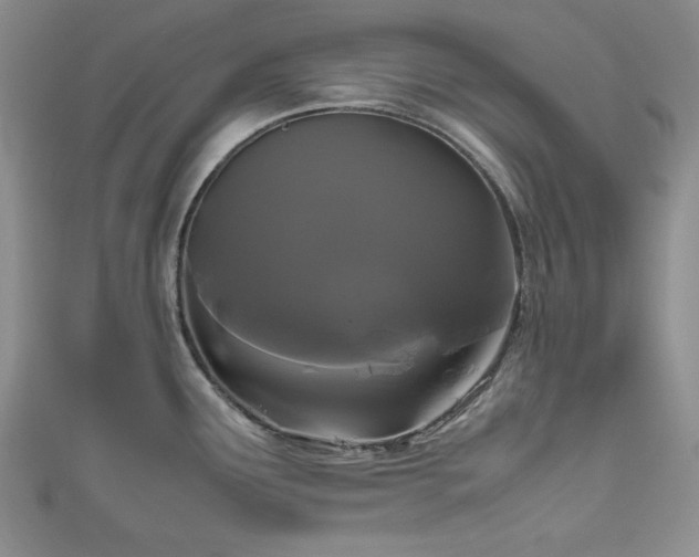 X0000111191291200907011404