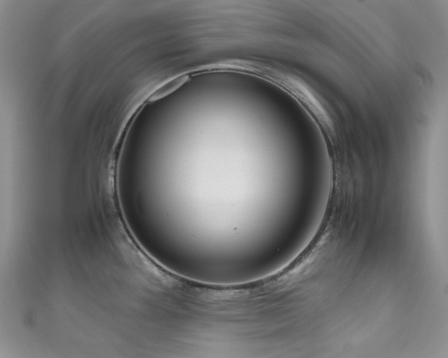 X0000111191292200907011404