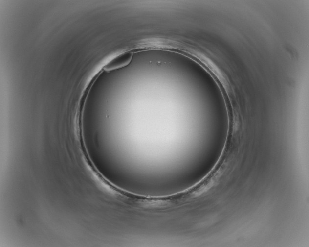 X0000111191293200907011404