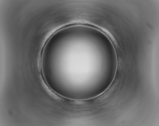 X0000111191295200907011404