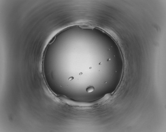 X0000111191296200907011404