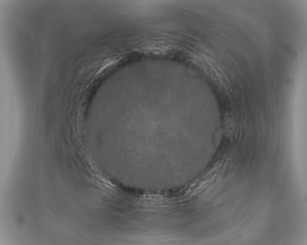 X0000111191297200907011403