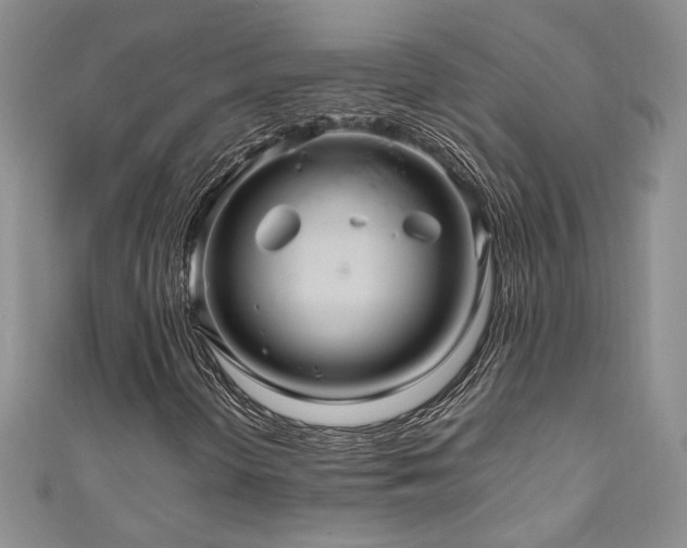 X0000111191298200907011403