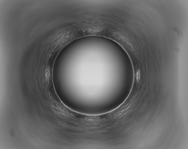 X0000111191299200907011403