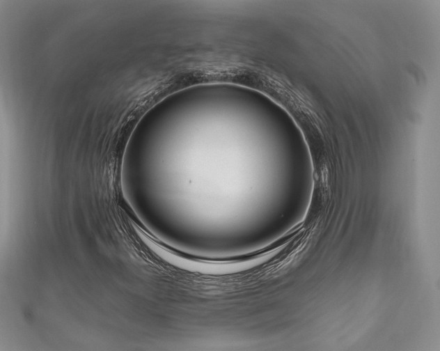 X0000111191300200907011403