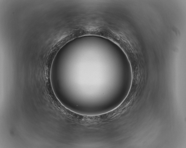 X0000111191301200907011403