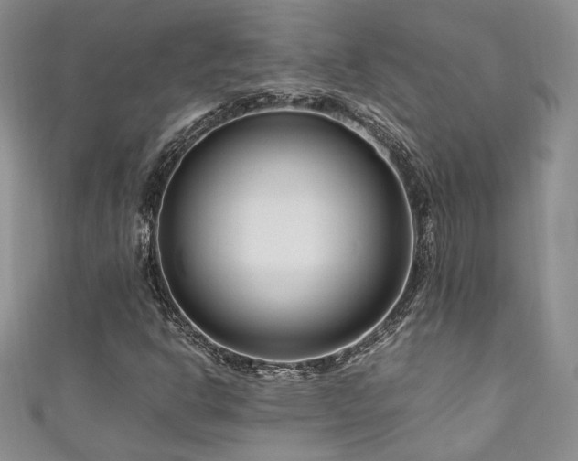 X0000111191302200907011403