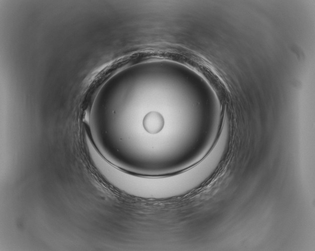 X0000111191304200907011403