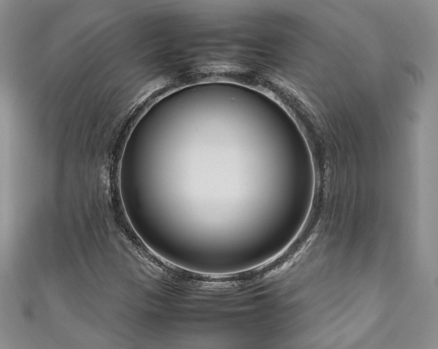 X0000111191305200907011403