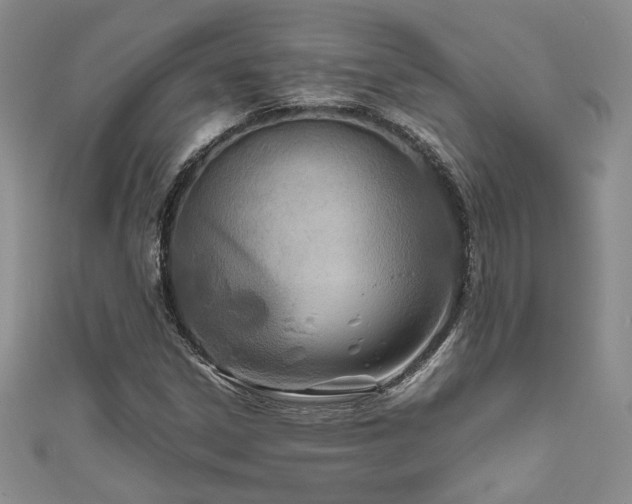 X0000111191306200907011403