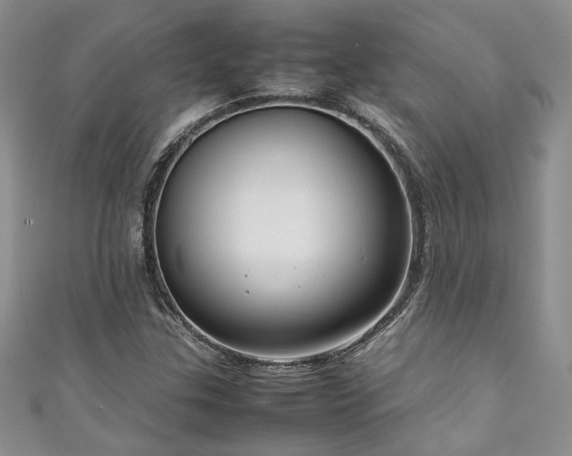 X0000111191307200907011403