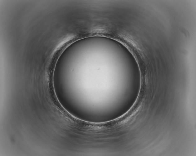 X0000111191309200907011403