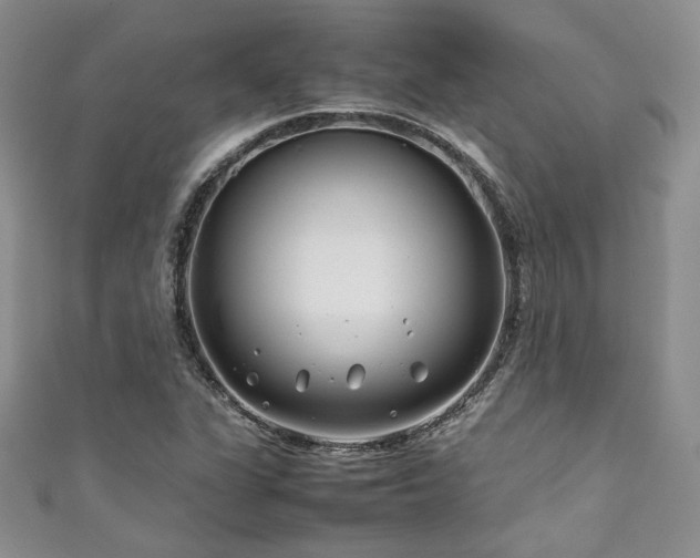 X0000111191311200907011403