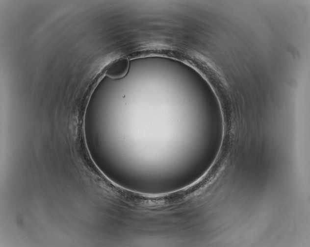 X0000111191313200907011404