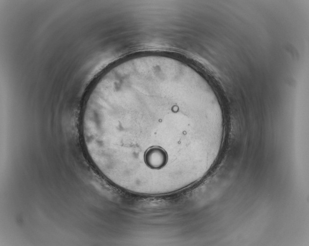 X0000111191314200907011404