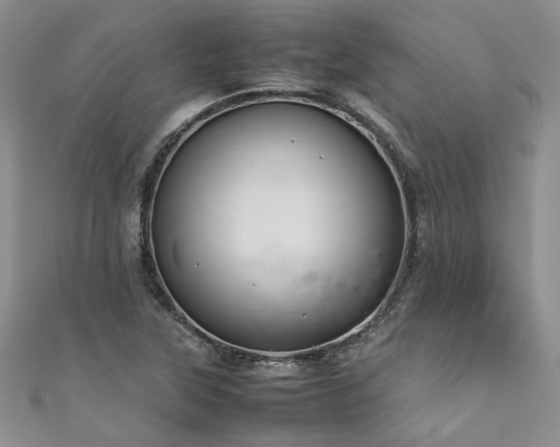 X0000111191315200907011404