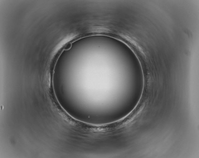 X0000111191317200907011404