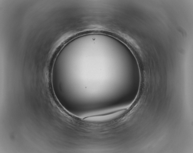 X0000111191318200907011404