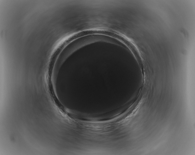 X0000111191319200907011404