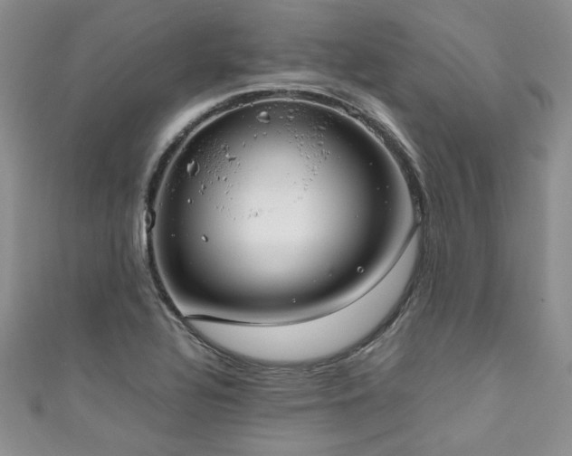 X0000111191320200907011404