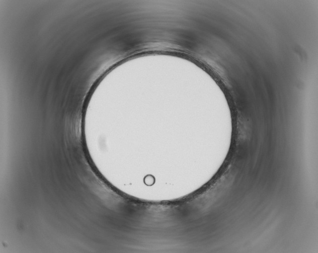 X0000111191322200907011404