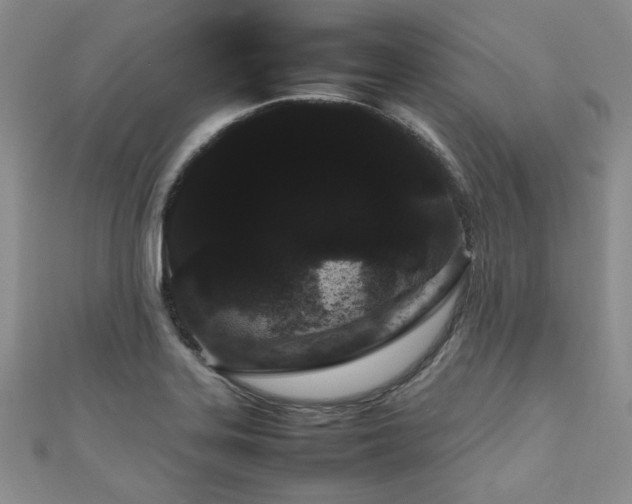 X0000111191323200907011404