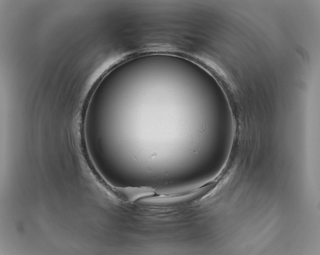 X0000111191325200907011404