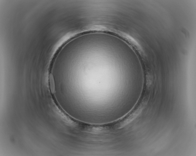 X0000111191326200907011404