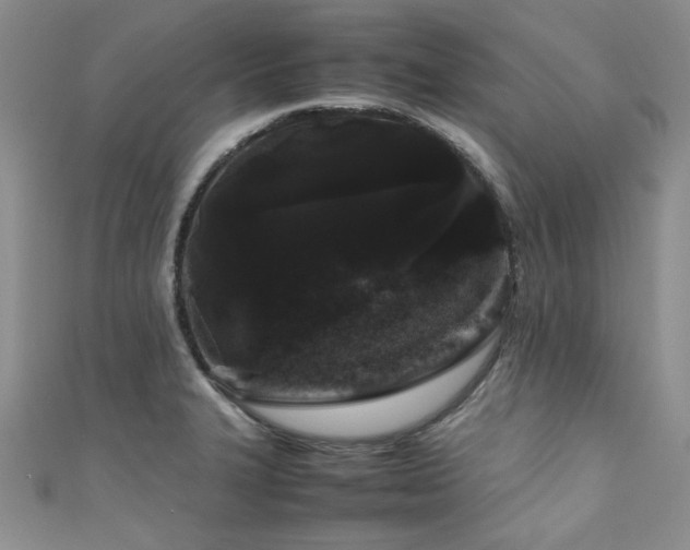 X0000111191327200907011404