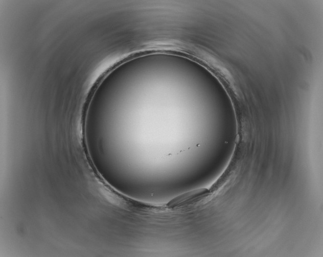 X0000111191328200907011404