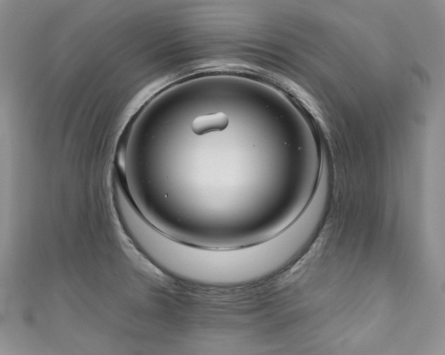 X0000111191330200907011404