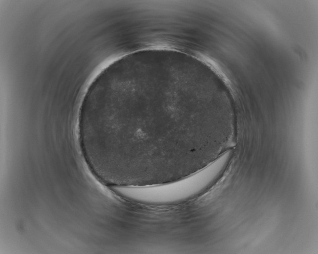 X0000111191331200907011404