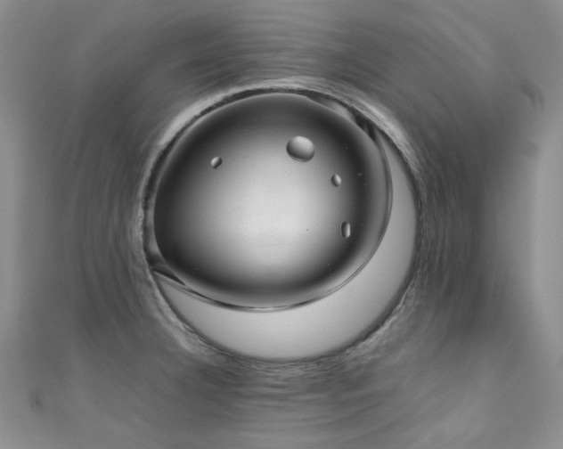 X0000111191332200907011404