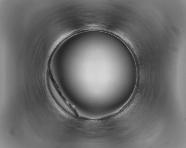 X0000111191333200907011404