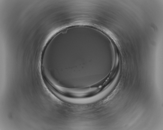 X0000111191334200907011404